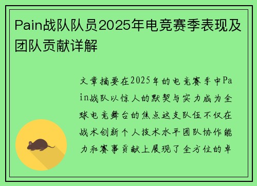 Pain战队队员2025年电竞赛季表现及团队贡献详解